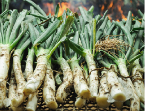 Ja és època de calçots!